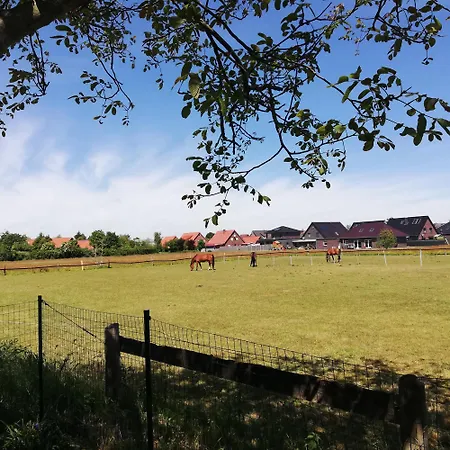 Ferienhaus Familie Reck *